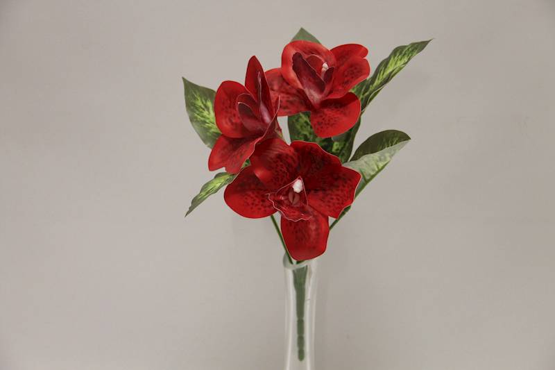 BUKIET CYMBIDIUM 3 KWIATY 32 CM • ': RED.