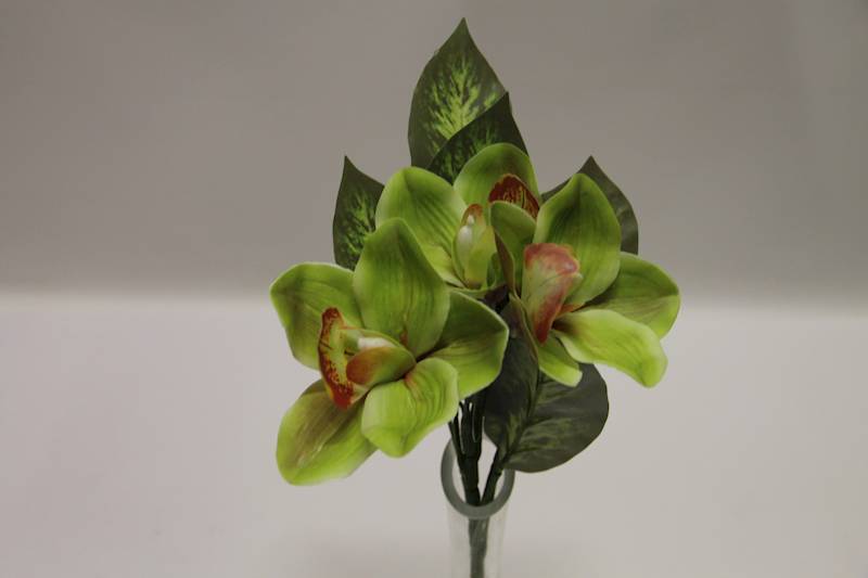 BUKIET CYMBIDIUM 3 KWIATY 32 CM • ': APPLE/GREEN