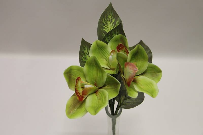 BUKIET CYMBIDIUM 3 KWIATY 32 CM • ': APPLE/GREEN