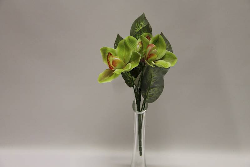 BUKIET CYMBIDIUM 3 KWIATY 32 CM • ': APPLE/GREEN