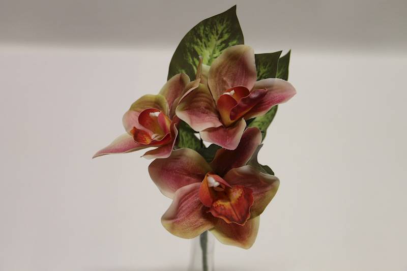 BUKIET CYMBIDIUM 3 KWIATY 32 CM • ': PINK/BEAUTY