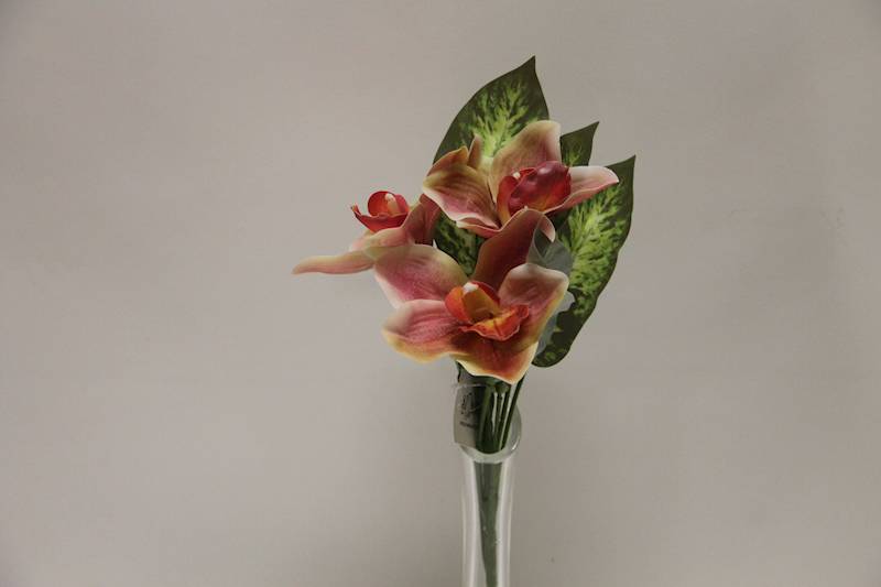 BUKIET CYMBIDIUM 3 KWIATY 32 CM • ': PINK/BEAUTY