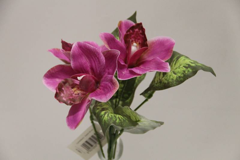 BUKIET CYMBIDIUM 3 KWIATY 32 CM • ': MAGENTA