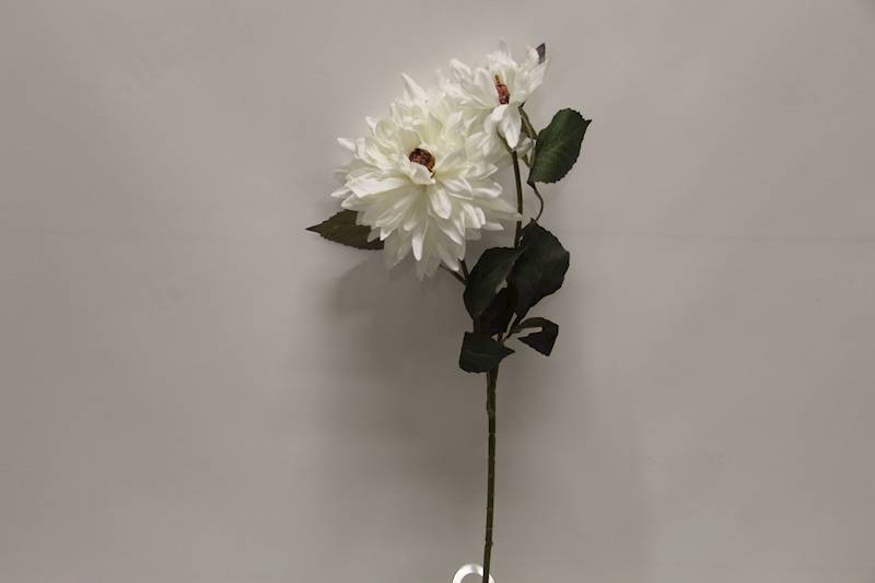 DALIA GAŁĄZKA X 2 • ': WHITE.