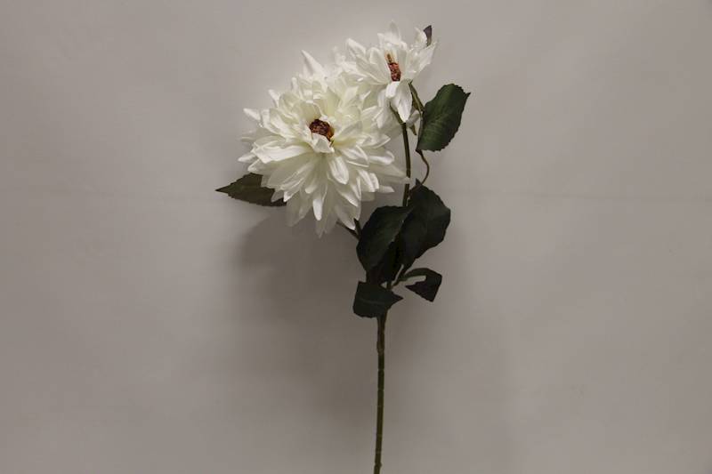 DALIA GAŁĄZKA X 2 • ': WHITE.