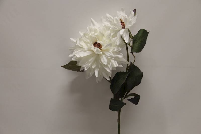 DALIA GAŁĄZKA X 2 • ': WHITE.