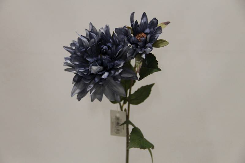 DALIA GAŁĄZKA X 2 • ': LT.BLUE