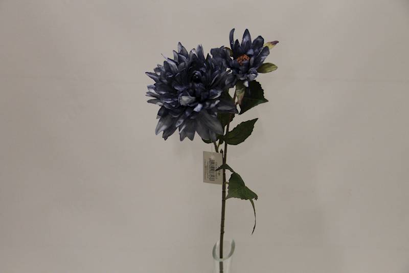 DALIA GAŁĄZKA X 2 • ': LT.BLUE