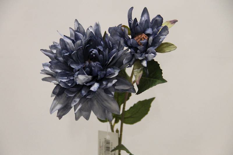 DALIA GAŁĄZKA X 2 • ': LT.BLUE