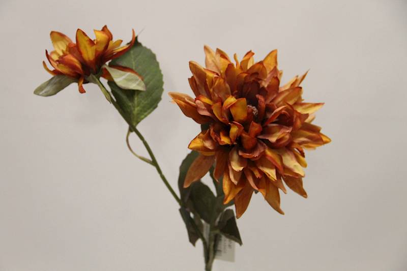 DALIA GAŁĄZKA X 2 • ': AUTUMN ORANGE