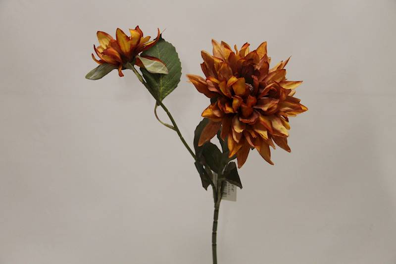 DALIA GAŁĄZKA X 2 • ': AUTUMN ORANGE