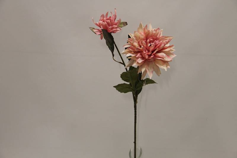 DALIA GAŁĄZKA X 2 • ': #2 LT. PINK