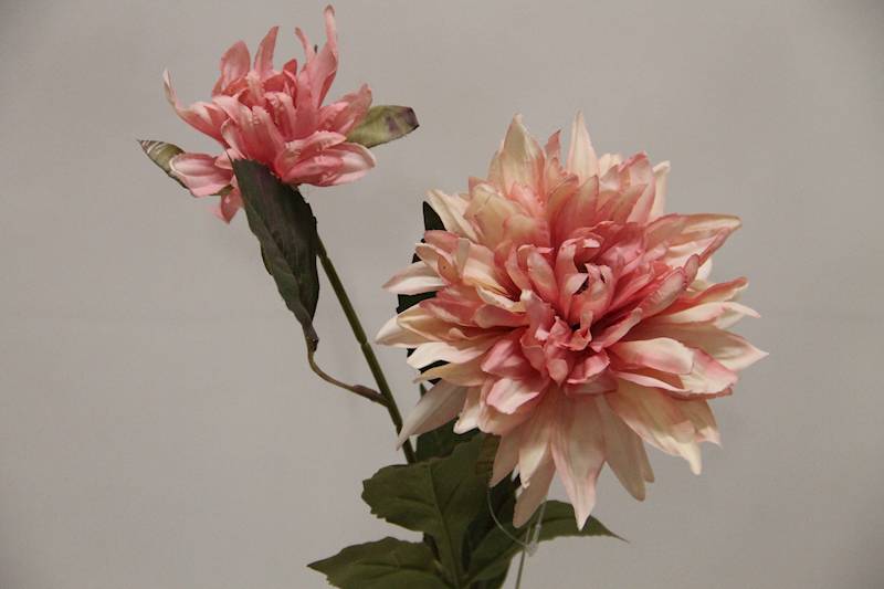 DALIA GAŁĄZKA X 2 • ': #2 LT. PINK