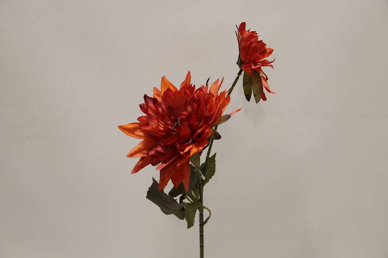 DALIA GAŁĄZKA X 2 • ': ORANGE.