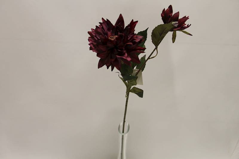 DALIA GAŁĄZKA X 2 • ': BURGUND