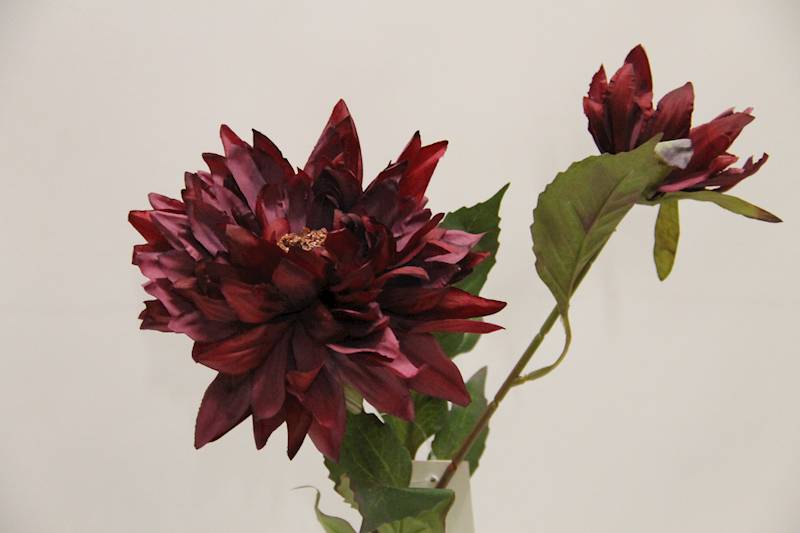 DALIA GAŁĄZKA X 2 • ': BURGUND