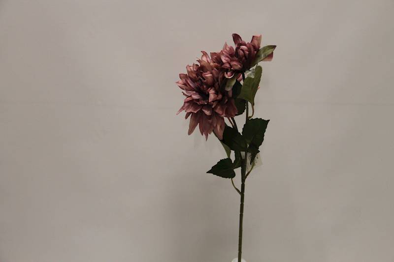 DALIA GAŁĄZKA X 2 • ': AUTUMN LT. PLUM