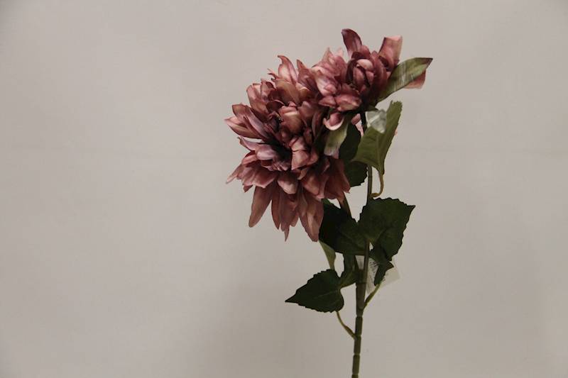 DALIA GAŁĄZKA X 2 • ': AUTUMN LT. PLUM
