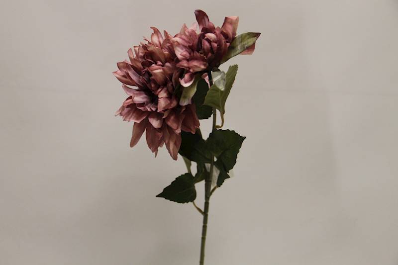 DALIA GAŁĄZKA X 2 • ': AUTUMN LT. PLUM