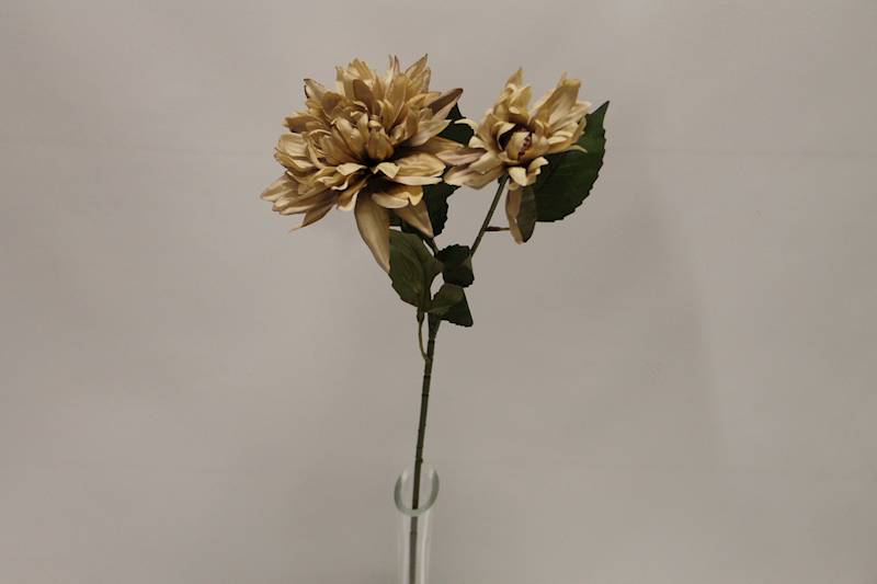 DALIA GAŁĄZKA X 2 • ': AUTUMN BEIGE
