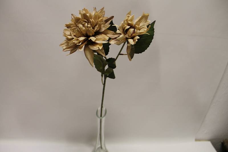 DALIA GAŁĄZKA X 2 • ': AUTUMN BEIGE