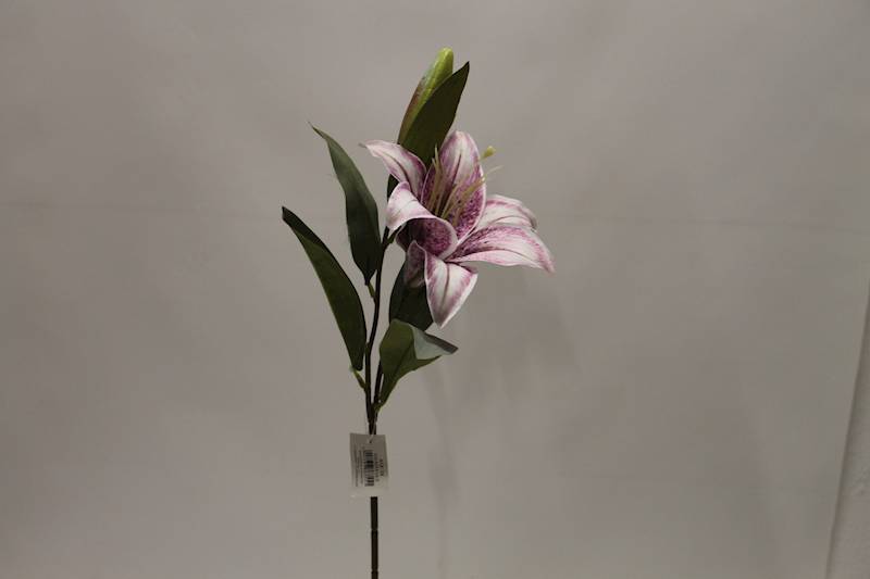 LILIA GAŁĄZKA • ': VIOLET.