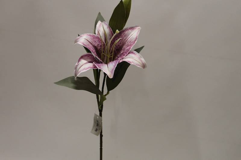 LILIA GAŁĄZKA • ': VIOLET.