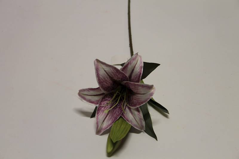 LILIA GAŁĄZKA • ': VIOLET.