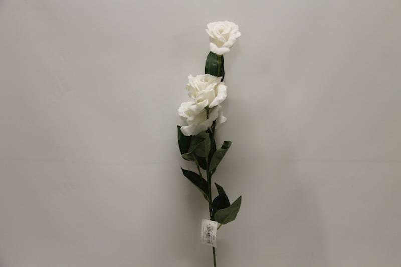 EUSTOMA GAŁĄZKA X 3 • ': WHITE.