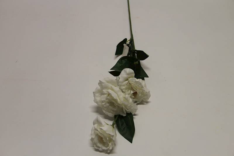 EUSTOMA GAŁĄZKA X 3 • ': WHITE.