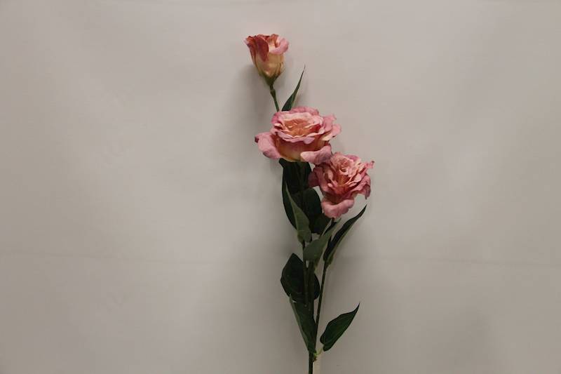 EUSTOMA GAŁĄZKA X 3 • ': AUTUMN LEIGHT PINK
