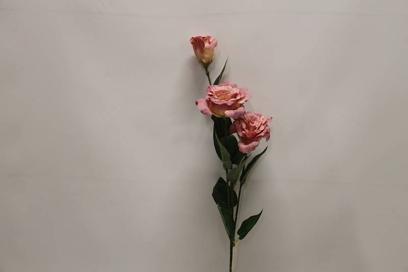 EUSTOMA GAŁĄZKA X 3 • ': AUTUMN LEIGHT PINK