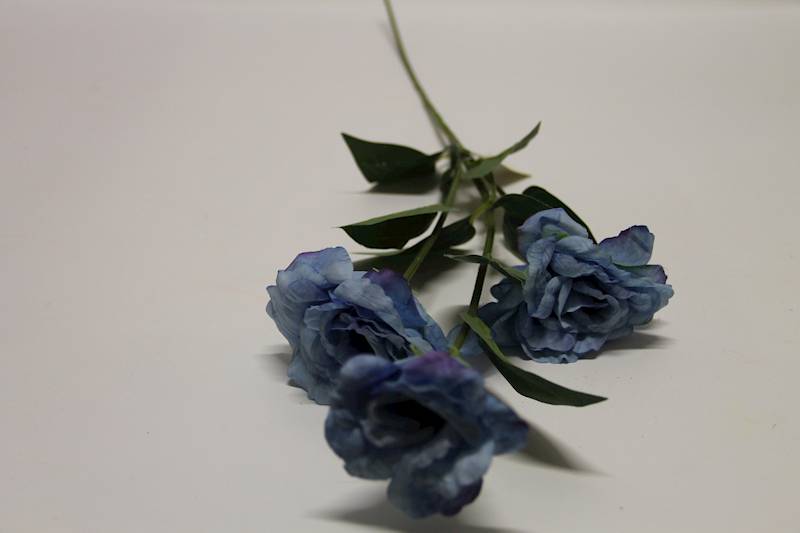 EUSTOMA GAŁĄZKA X 3 • ': LT. BLUE 3349
