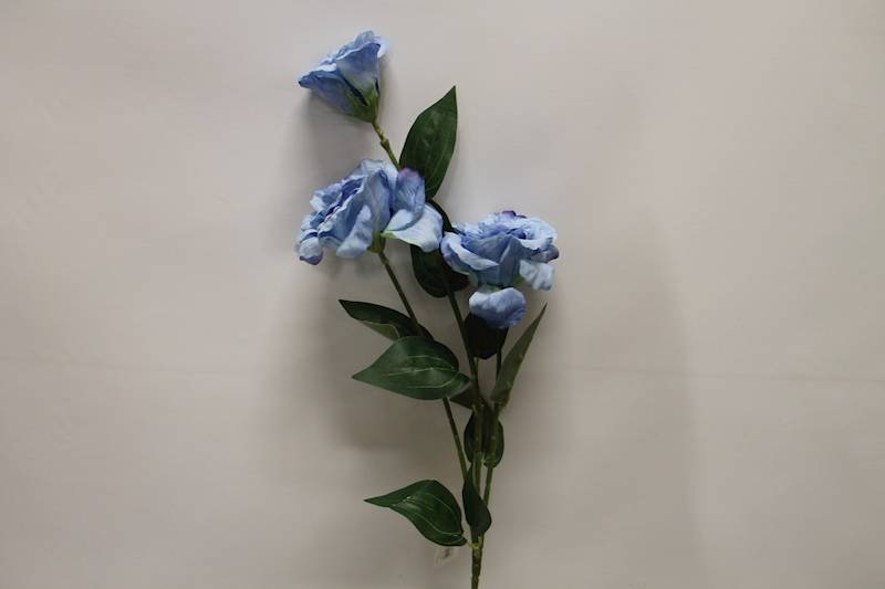EUSTOMA GAŁĄZKA X 3 • ': LT. BLUE 3349