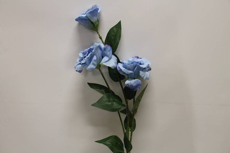 EUSTOMA GAŁĄZKA X 3 • ': LT. BLUE 3349