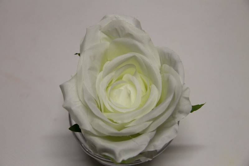 RÓŻA WYROBOWA GŁÓWKA • ': WHITE.