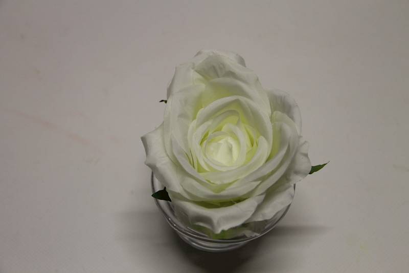 RÓŻA WYROBOWA GŁÓWKA • ': WHITE.