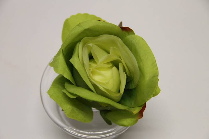 RÓŻA GŁÓWKA 8 CM APPLE/GREEN