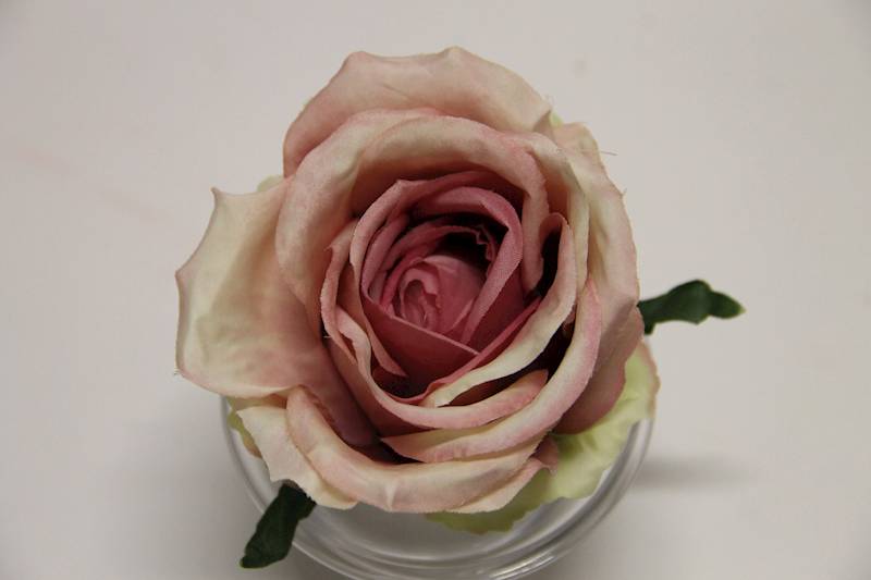 RÓŻA WYROBOWA AUTUMN PINK