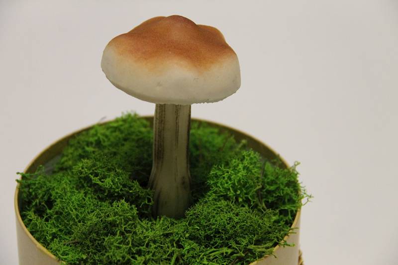 GRZYBEK PODGRZYBEK DŁUGA NÓŻKA WYS 11 CM