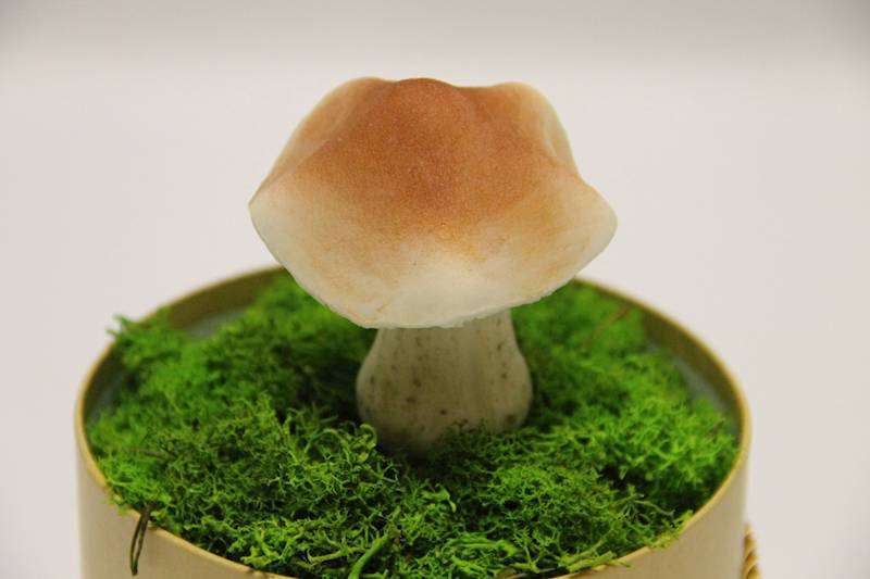 GRZYBEK PODGRZYBEK KROTKA NÓŻKA WYS 9 CM