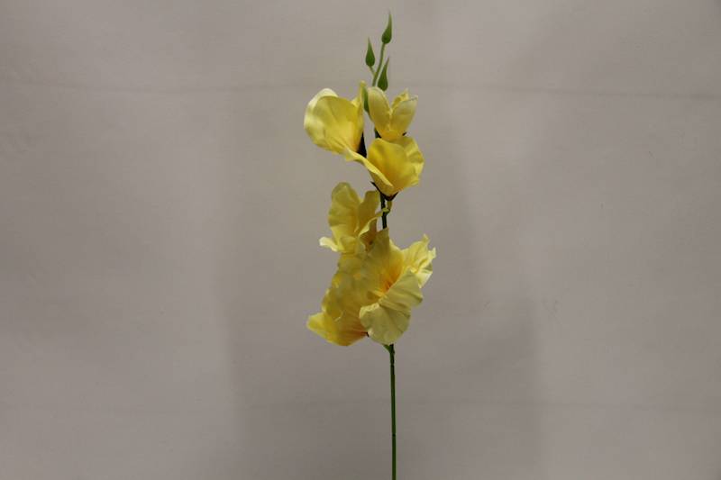 MIECZYK KRÓTKI CYTRYNOWY 55CM