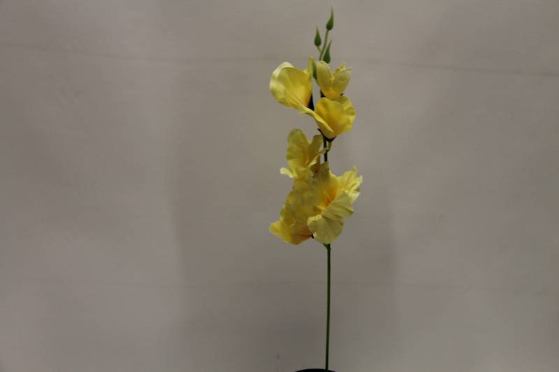 MIECZYK KRÓTKI CYTRYNOWY 55CM