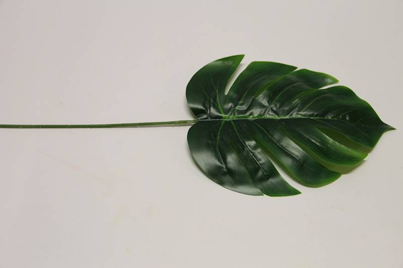 LIŚĆ MONSTERA DŁUGI