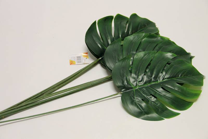 LIŚĆ MONSTERA DŁUGI