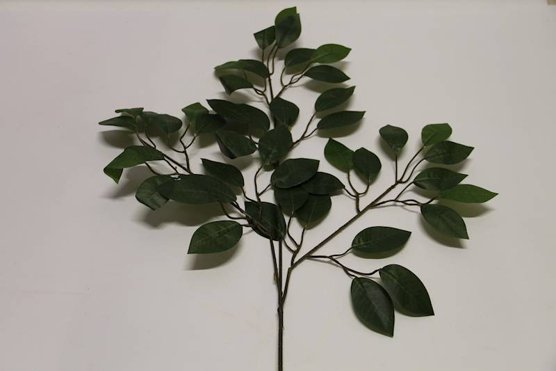 LIŚĆ BENIAMIN X 3 GREEN