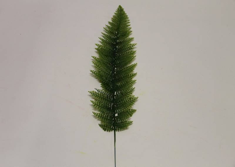 LIŚĆ PAPROĆ 55 CM