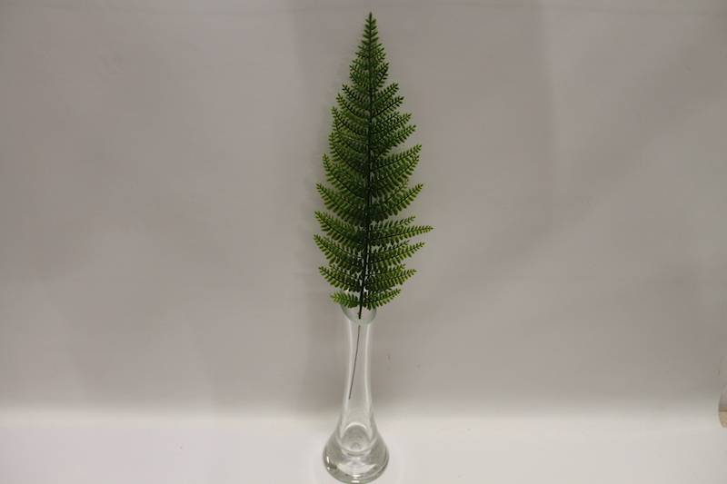LIŚĆ PAPROĆ 40 CM