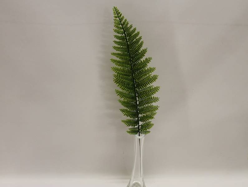 LIŚĆ PAPROĆ 48 CM