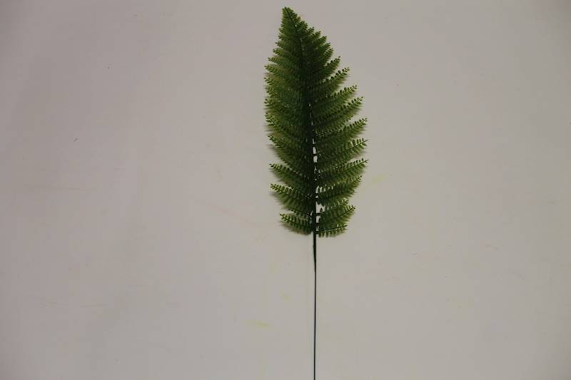 LIŚĆ PAPROĆ 48 CM